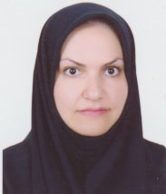 hushmand.png