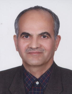 میرضالحی